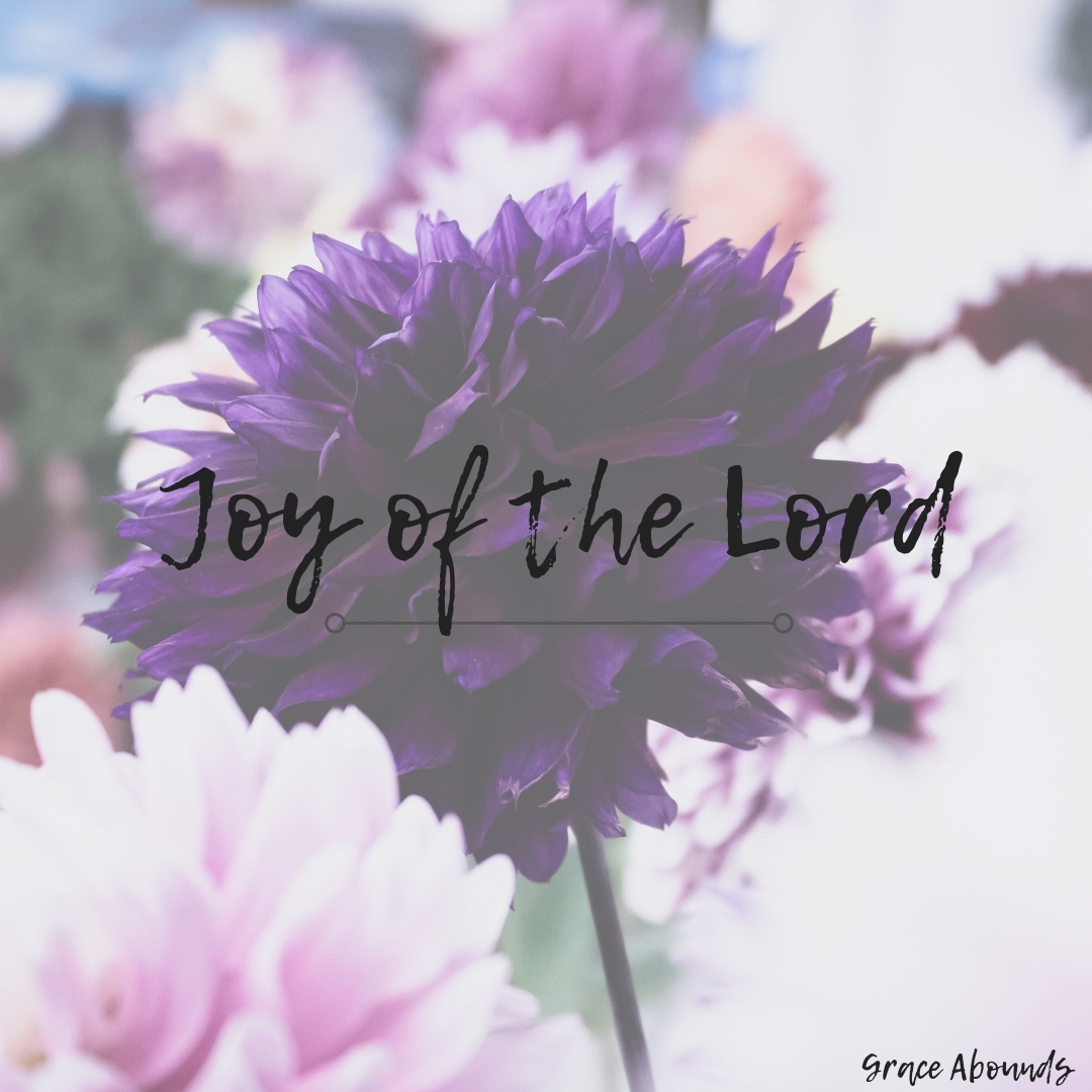 Joy of the Lord1